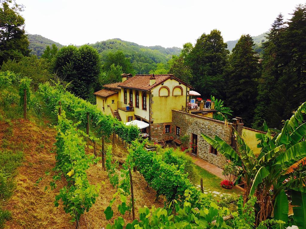 Vila A Casa Del Tosi Lucca Exteriér fotografie
