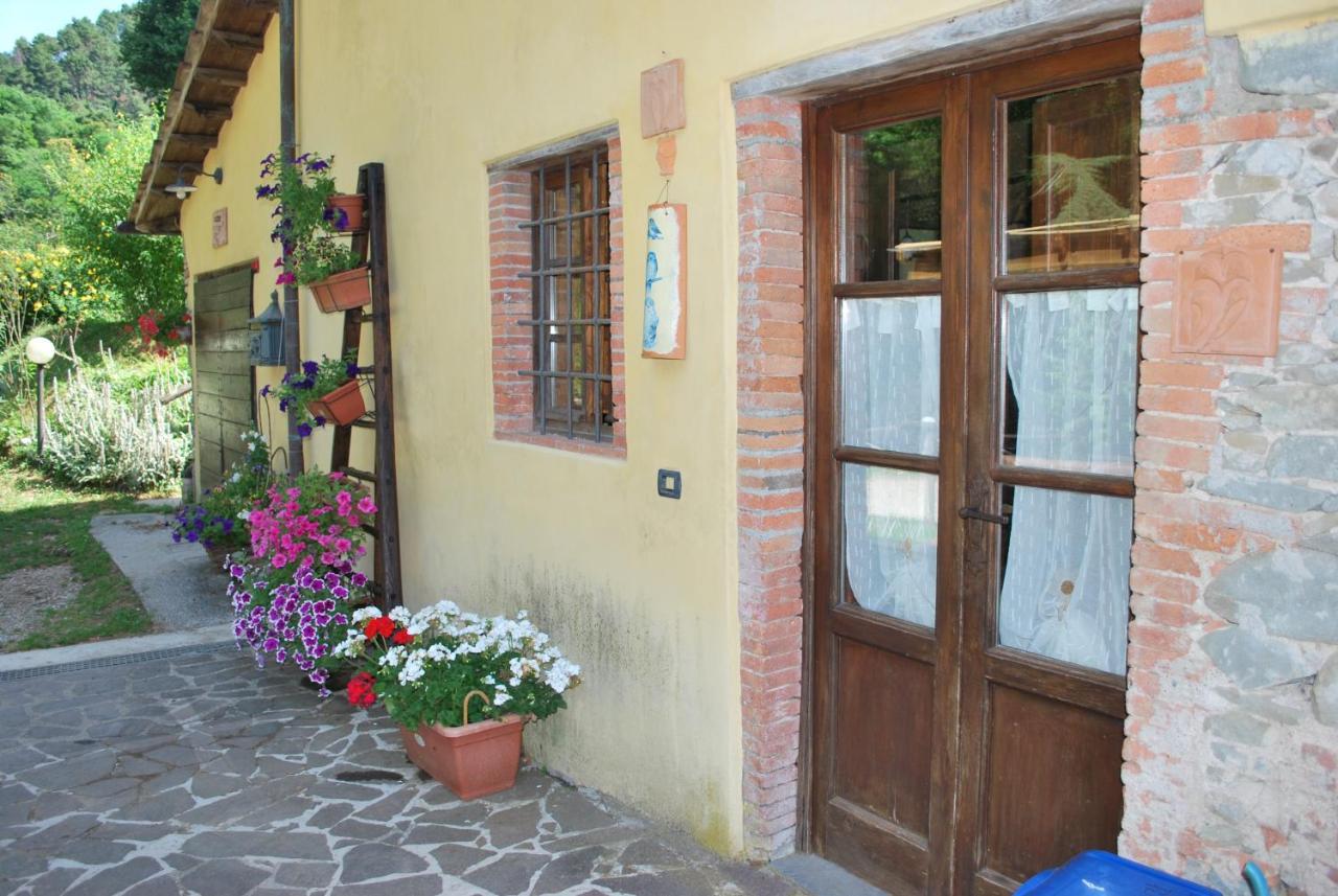 Vila A Casa Del Tosi Lucca Exteriér fotografie